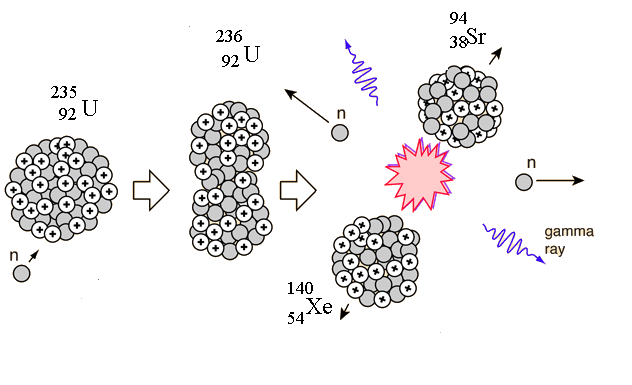 Figure 1: Typical Uranium 235 fission fragments Xenon and Strontium.