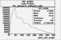 Pions plus phi angle without cuts lab frame file dst27095.gif