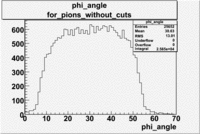 Pions phi angle 27095 without cuts.gif